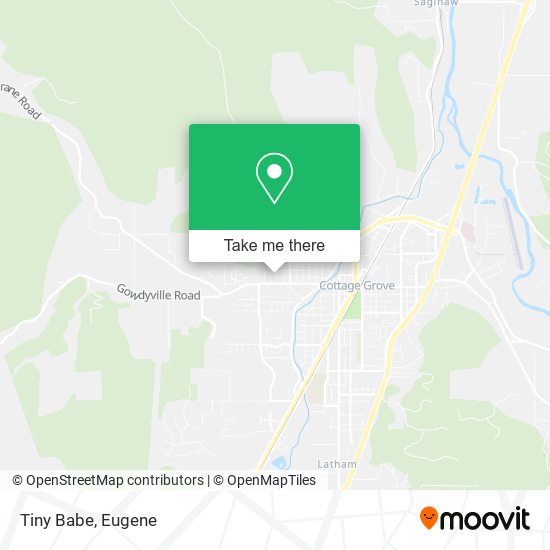 Mapa de Tiny Babe