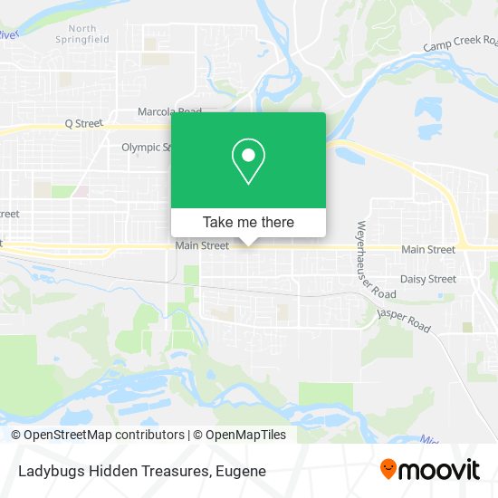 Ladybugs Hidden Treasures map