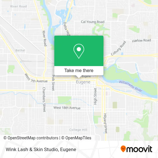 Wink Lash & Skin Studio map
