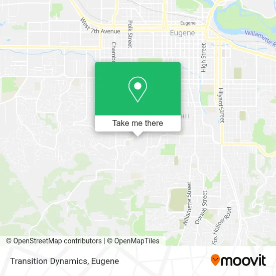 Transition Dynamics map