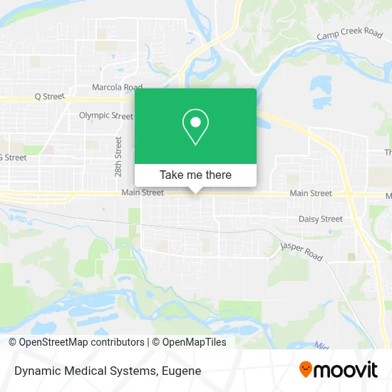 Dynamic Medical Systems map