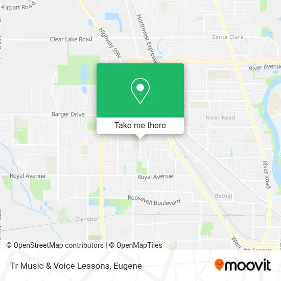 Tr Music & Voice Lessons map
