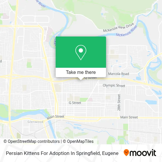 Persian Kittens For Adoption In Springfield map