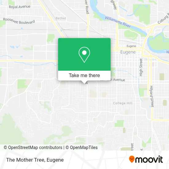 The Mother Tree map