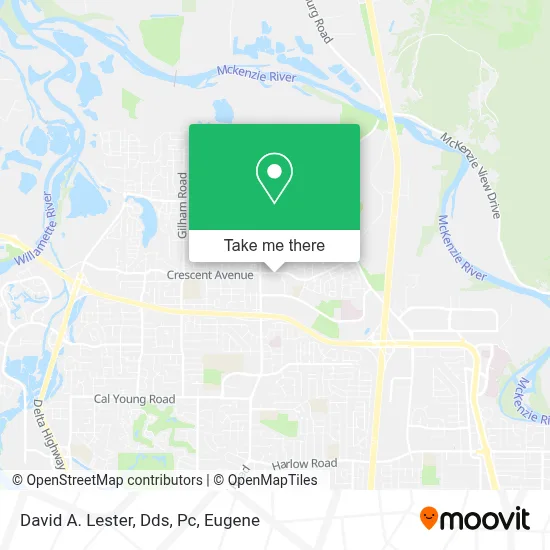 David A. Lester, Dds, Pc map