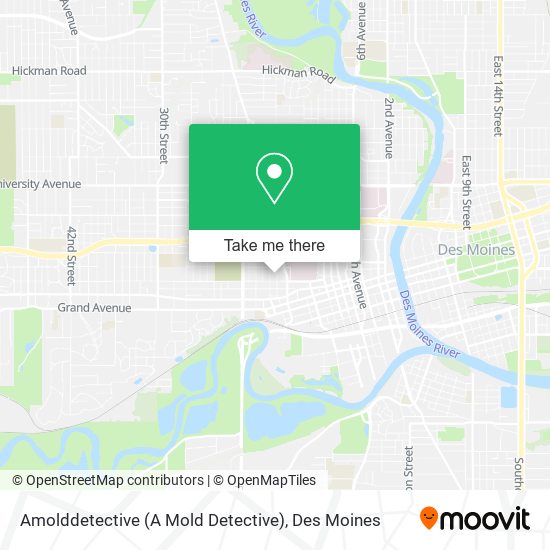 Amolddetective (A Mold Detective) map