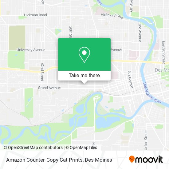 Amazon Counter-Copy Cat Prints map