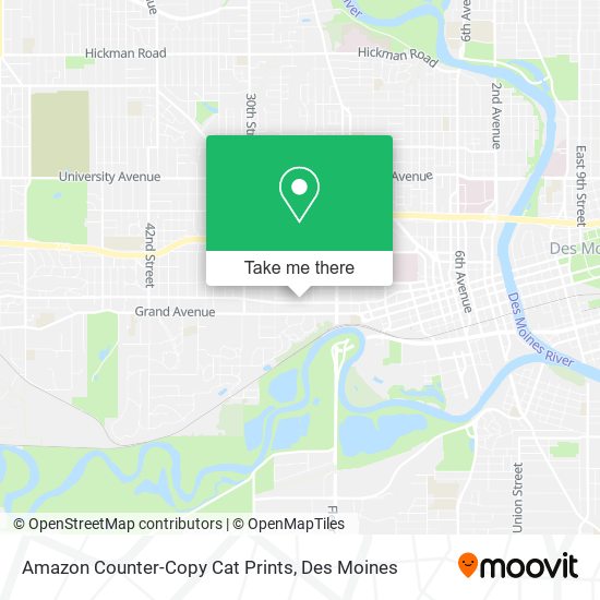 Mapa de Amazon Counter-Copy Cat Prints