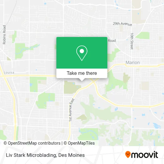 Liv Stark Microblading map