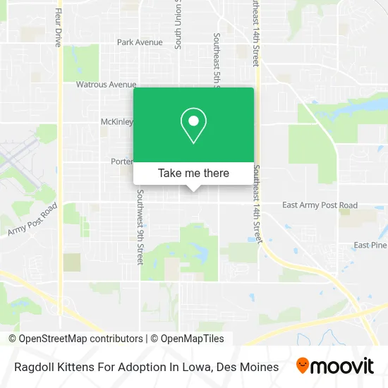Ragdoll Kittens For Adoption In Lowa map