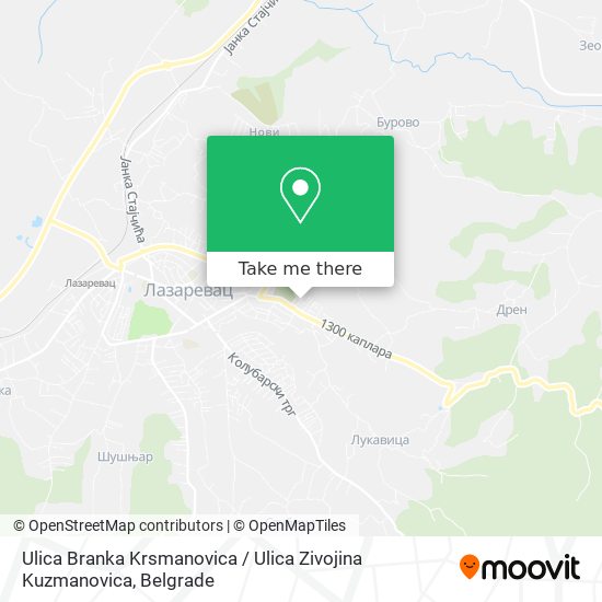 Ulica Branka Krsmanovica / Ulica Zivojina Kuzmanovica map