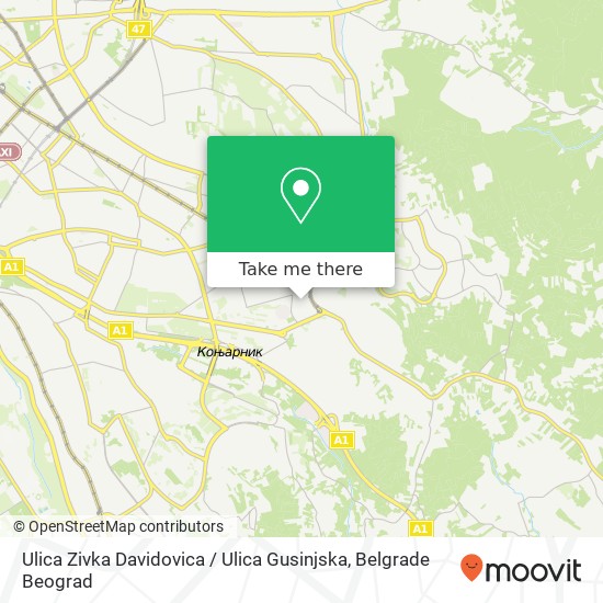 Ulica Zivka Davidovica / Ulica Gusinjska map