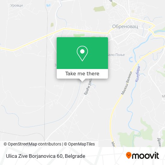 Ulica Zive Borjanovica 60 map