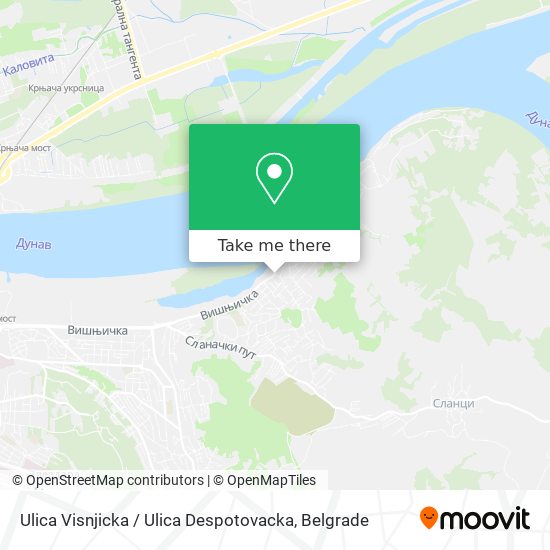 Ulica Visnjicka / Ulica Despotovacka map