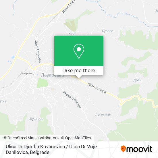 Ulica Dr Djordja Kovacevica / Ulica Dr Voje Danilovica map