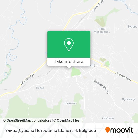 Улица Душана Петровића Шанета 4 map