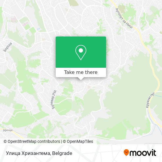 Улица Хризантема map