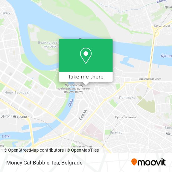 Money Cat Bubble Tea map