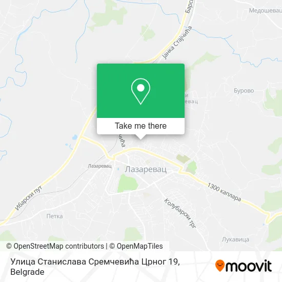Улица Станислава Сремчевића Црног 19 map