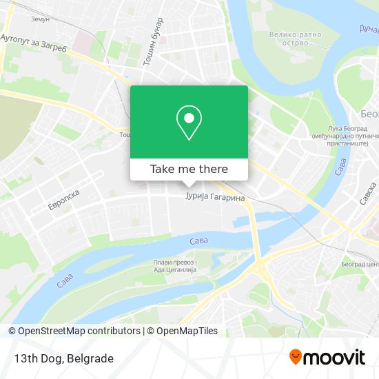 13th Dog map