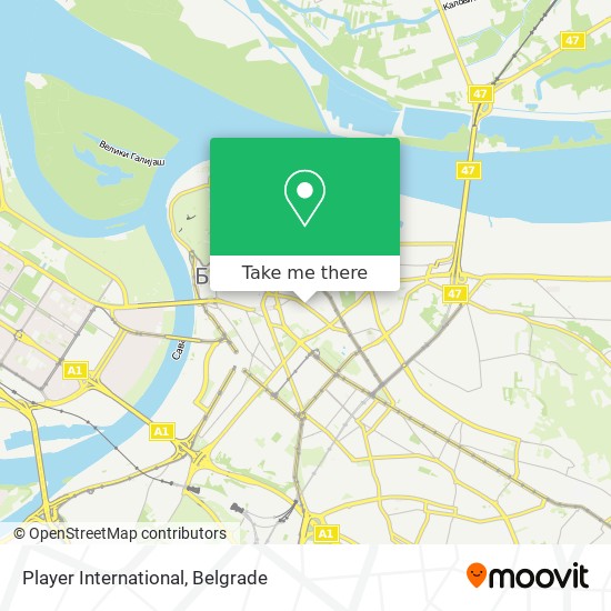 Player International map