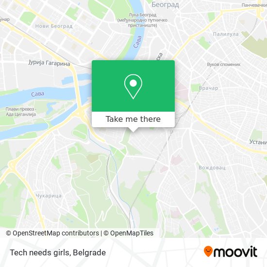 Tech needs girls map