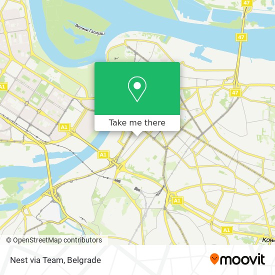 Nest via Team map