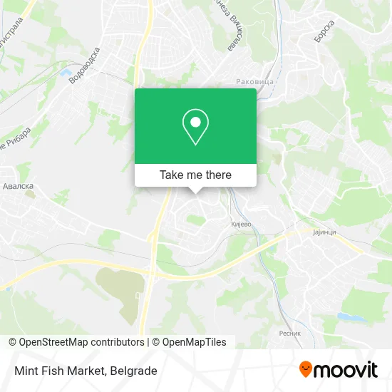 Mint Fish Market map