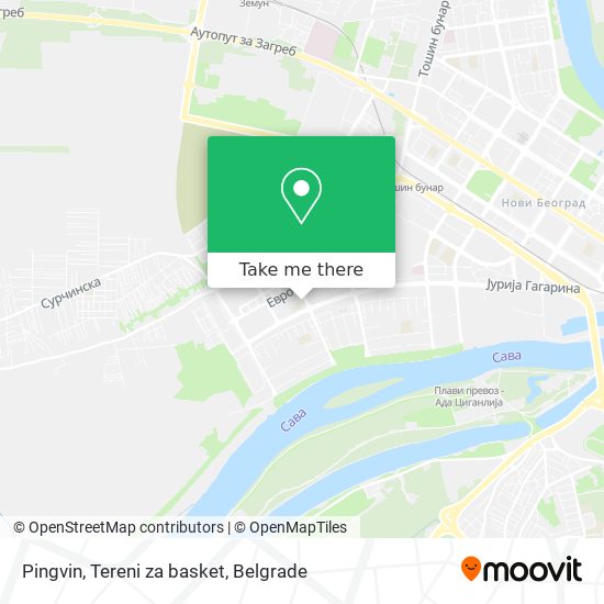 Pingvin, Tereni za basket map