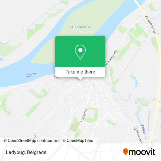 Ladybug map