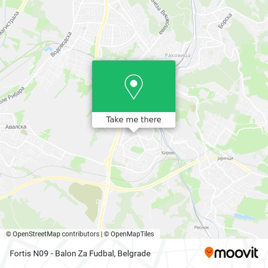 Fortis N09 - Balon Za Fudbal map