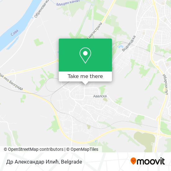 Др Александар Илић map