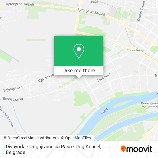 Divayorki - Odgajivačnica Pasa - Dog Kennel map