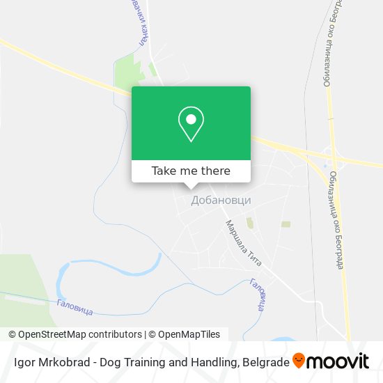 Igor Mrkobrad - Dog Training and Handling map