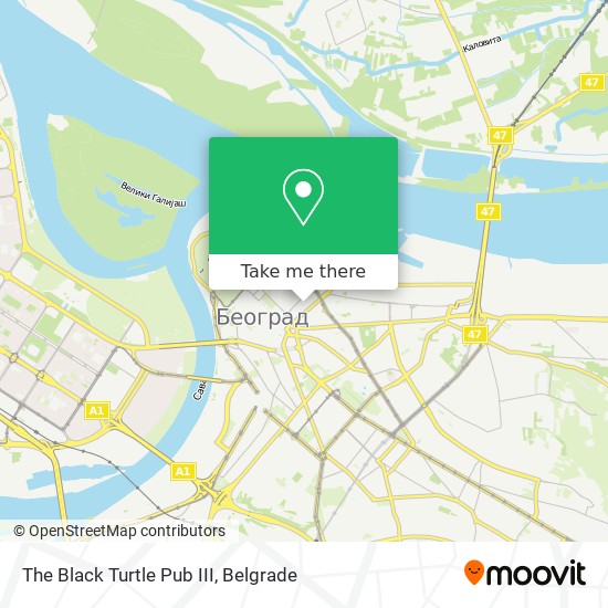 The Black Turtle Pub III map