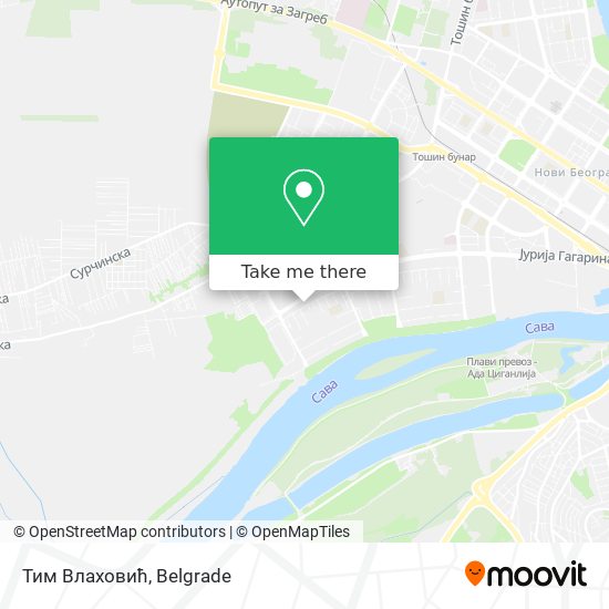 Тим Влаховић map