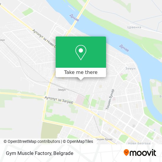 Gym Muscle Factory map