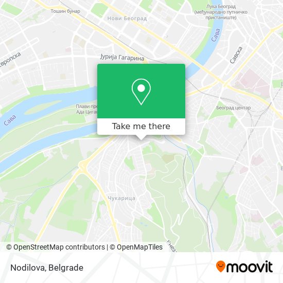 Nodilova map