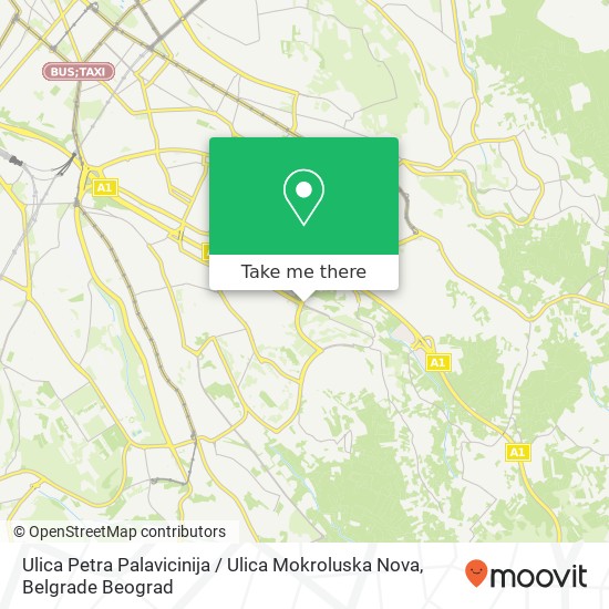 Ulica Petra Palavicinija / Ulica Mokroluska Nova map