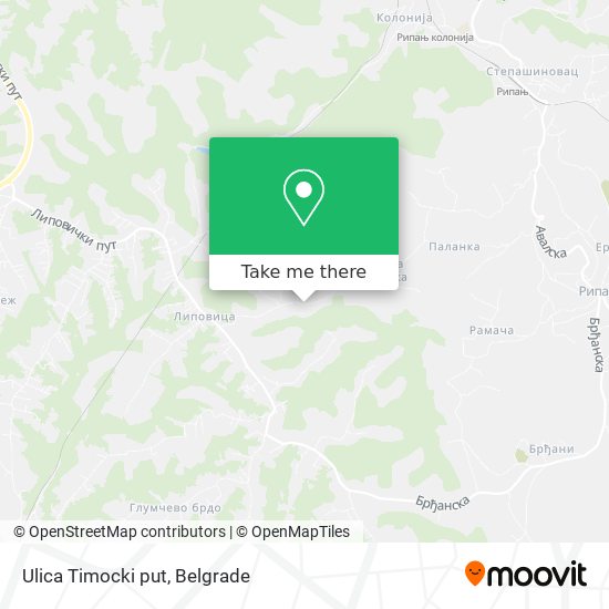 Ulica Timocki put map