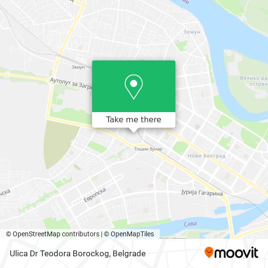 Ulica Dr Teodora Borockog map