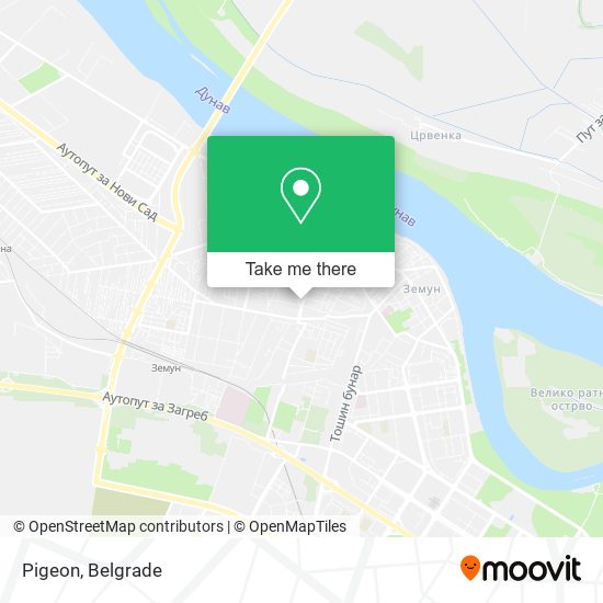 Pigeon map