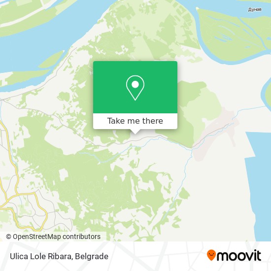 Ulica Lole Ribara map