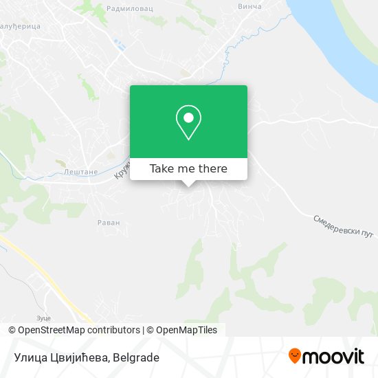 Улица Цвијићева map