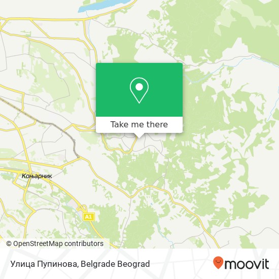 Улица Пупинова map