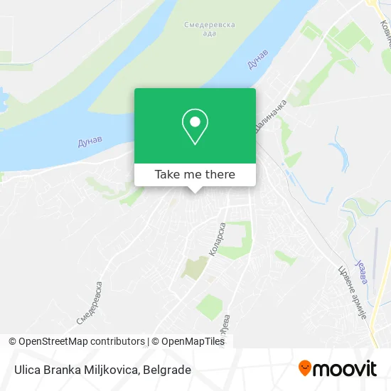Ulica Branka Miljkovica map