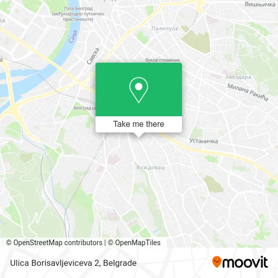 Borisavljeviceva Street 2 map