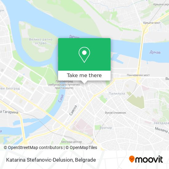 Katarina Stefanovic-Delusion map