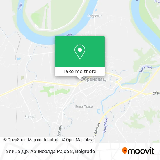 Улица Др. Арчибалда Рајса 8 map