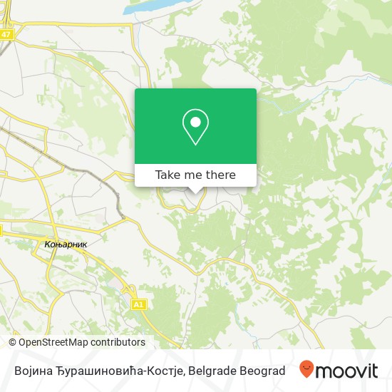 Војина Ђурашиновића-Костје map